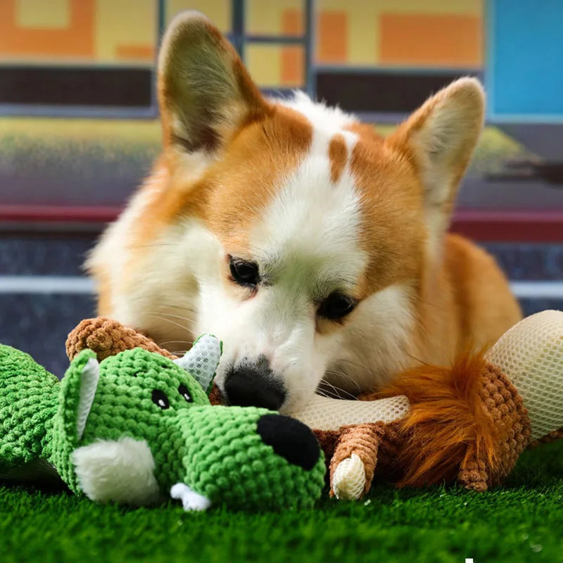 Brinquedo interativo para cães DentiPet